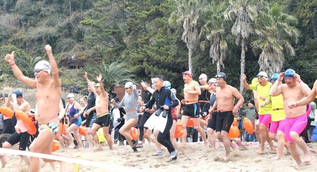 서귀포 겨울바다 국제펭귄수영대회