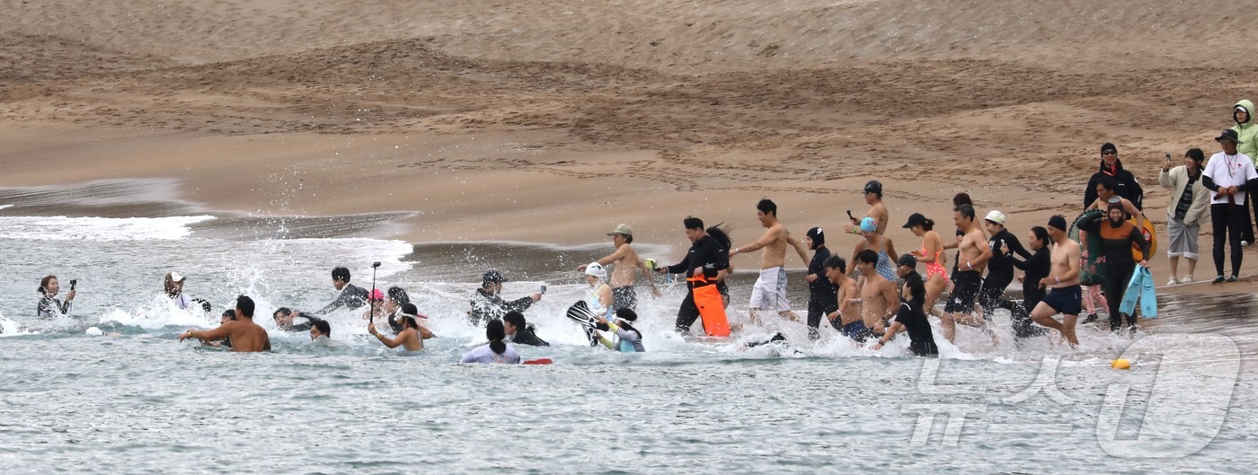 (제주=뉴스1) 강승남 기자 = 2026년 새해 첫날인 1일 오전 제주 서귀포시 중문색달해수욕장에서 열린 제27회 서귀포 겨울바다 국제펭귄수영대회에서 참가자들이 바다를 향해 달려가 …