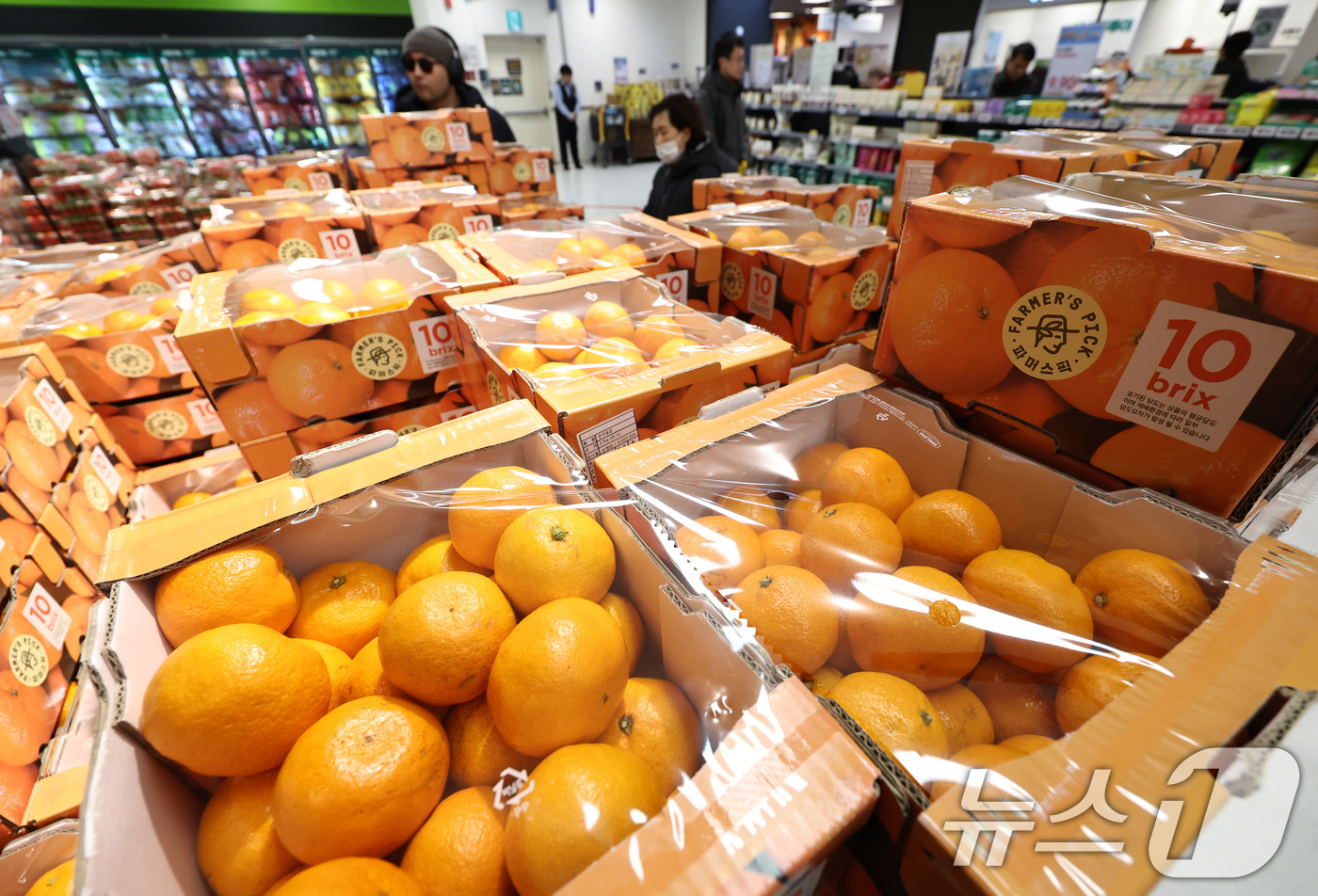(서울=뉴스1) 구윤성 기자 = 1일 오후 서울의 한 대형마트 과일 코너에 귤이 진열돼 있다.이날 국가데이터처가 발표한 '2025년 12월 및 연간 소비자물가동향'에 따르면, 먹거 …