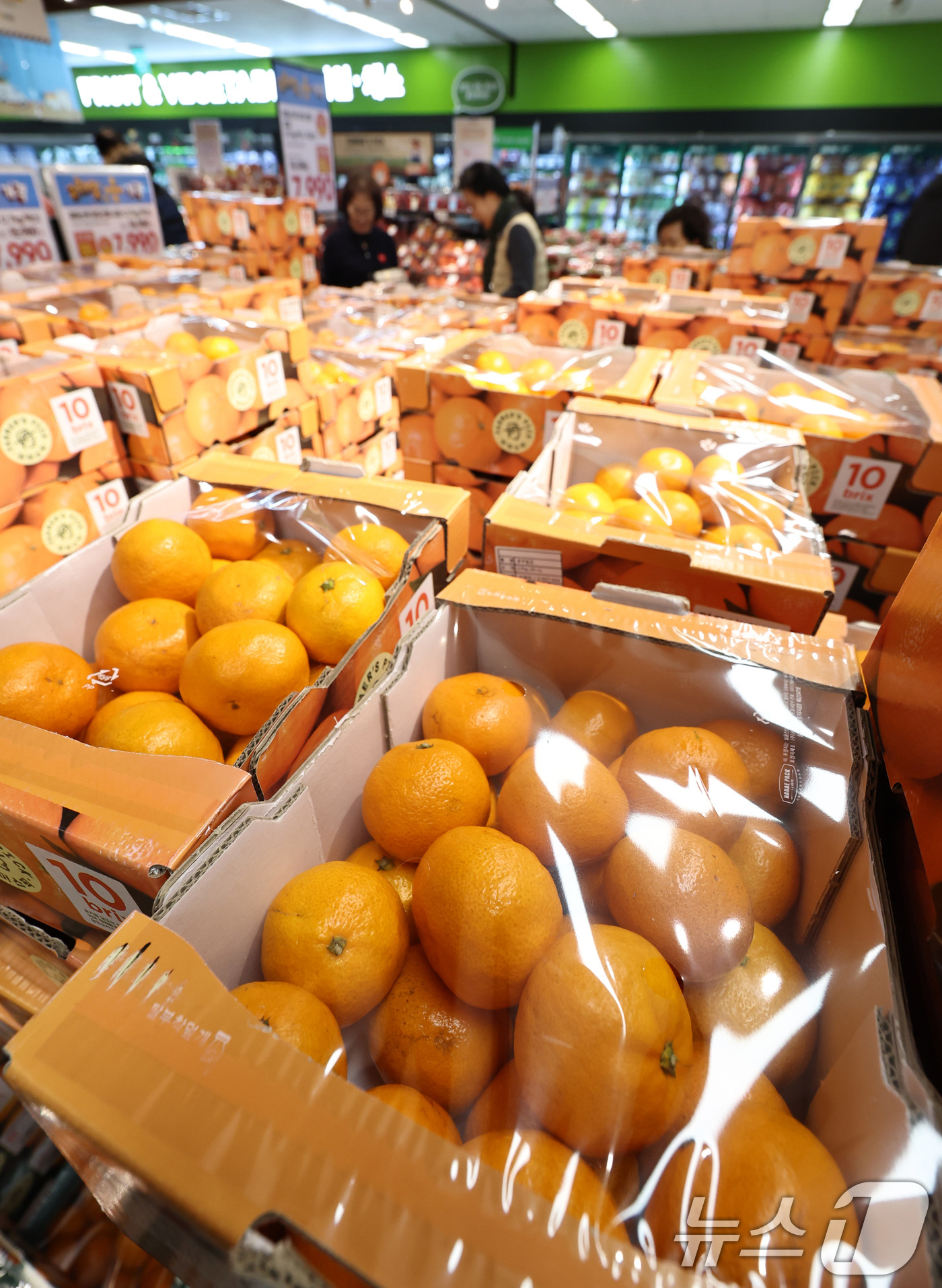 (서울=뉴스1) 구윤성 기자 = 1일 오후 서울의 한 대형마트 과일 코너에 귤이 진열돼 있다.이날 국가데이터처가 발표한 '2025년 12월 및 연간 소비자물가동향'에 따르면, 먹거 …