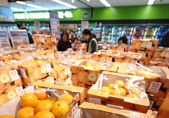 작황부진 등 영향에 귤 가격 '18.2% 껑충'