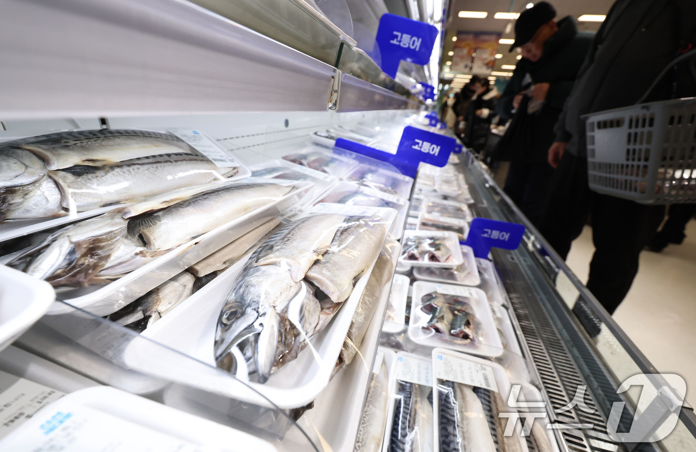 (서울=뉴스1) 구윤성 기자 = 1일 오후 서울의 한 대형마트 수산물 코너에 수입산 고등어가 진열돼 있다.이날 한국농수산식품유통공사에 따르면 수입산 염장(대) 고등어 한 손 소매 …