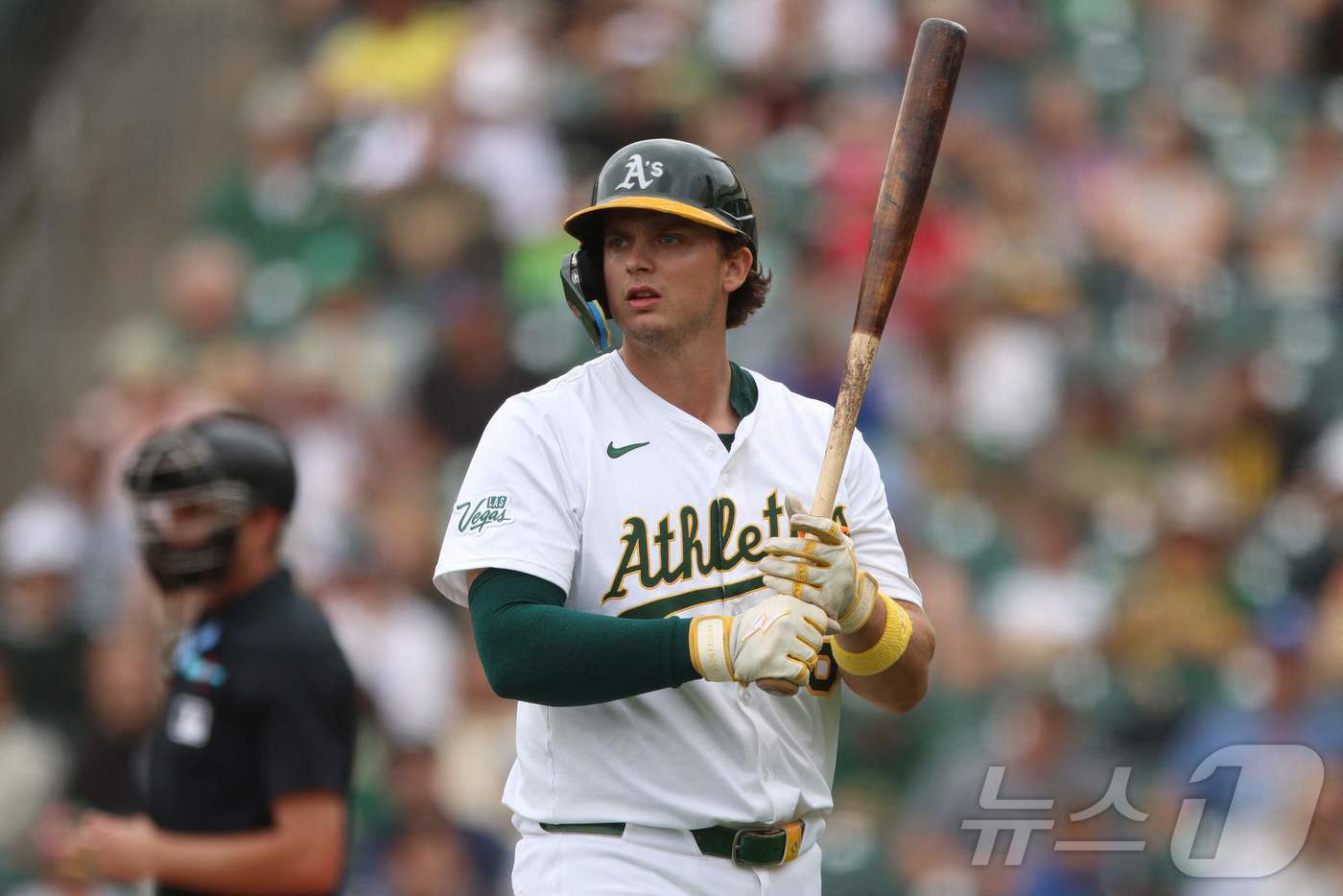본문 이미지 - 애슬레틱스 닉 커츠는 지난해 아메리칸리그 신인상을 받았다. ⓒ AFP=뉴스1