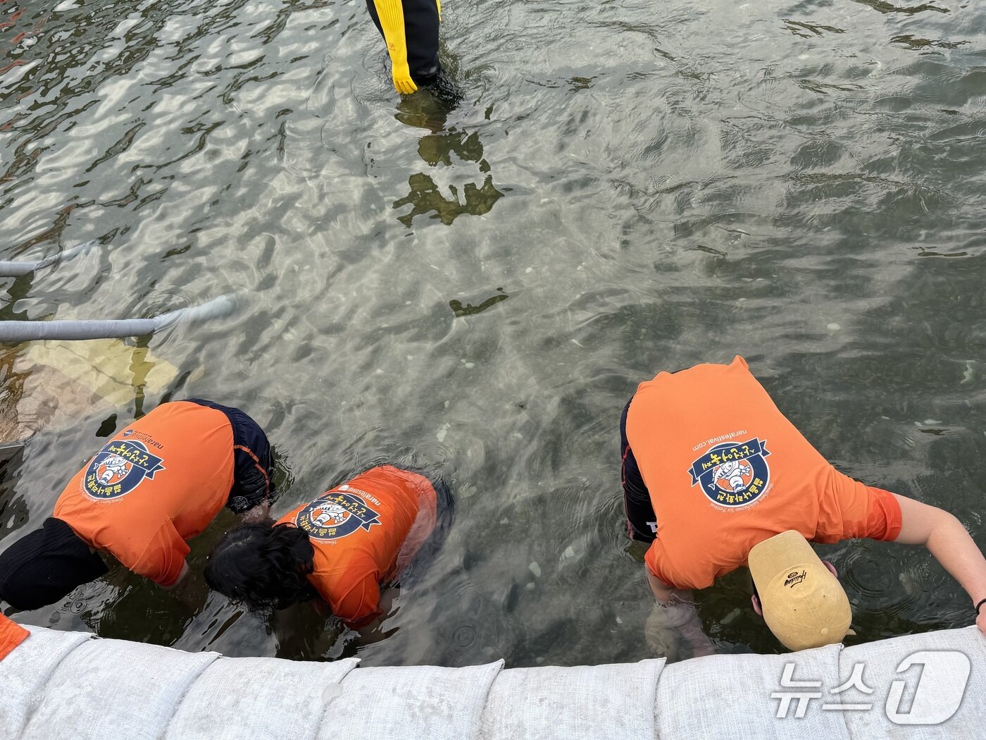 본문 이미지 - '2026 얼음나라 화천산천어축제' 첫날인 10일 맨손잡기 참여자들이 산천어를 잡기 위해 물 속을 들여다 보고 있다.2026.1.10 한귀섭 기자 