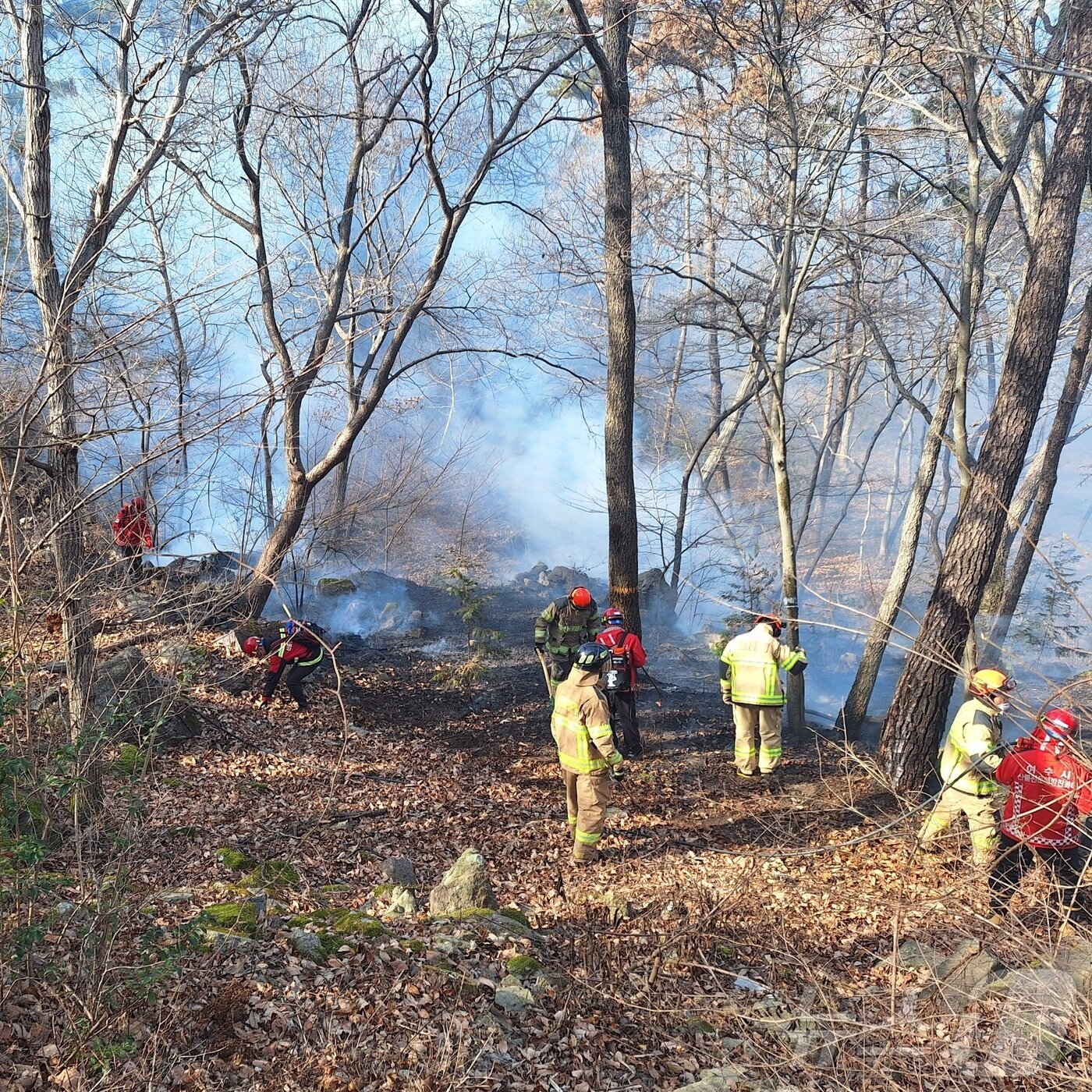본문 이미지 - 전남 여수 중흥동 산불.(여수소방 제공. 재배포 및 DB 금지) 2026.1.10/뉴스1