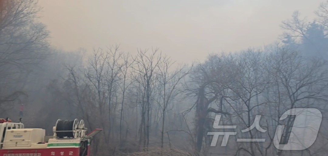 (의성=뉴스1) 이성덕 기자 = 10일 오후 3시 14분쯤 경북 의성군 의성읍 비봉리의 한 야산에서 불이 나 당국이 진화하고 있다.(독자 제공.재판매 및 DB 금지)2026.1.1 …