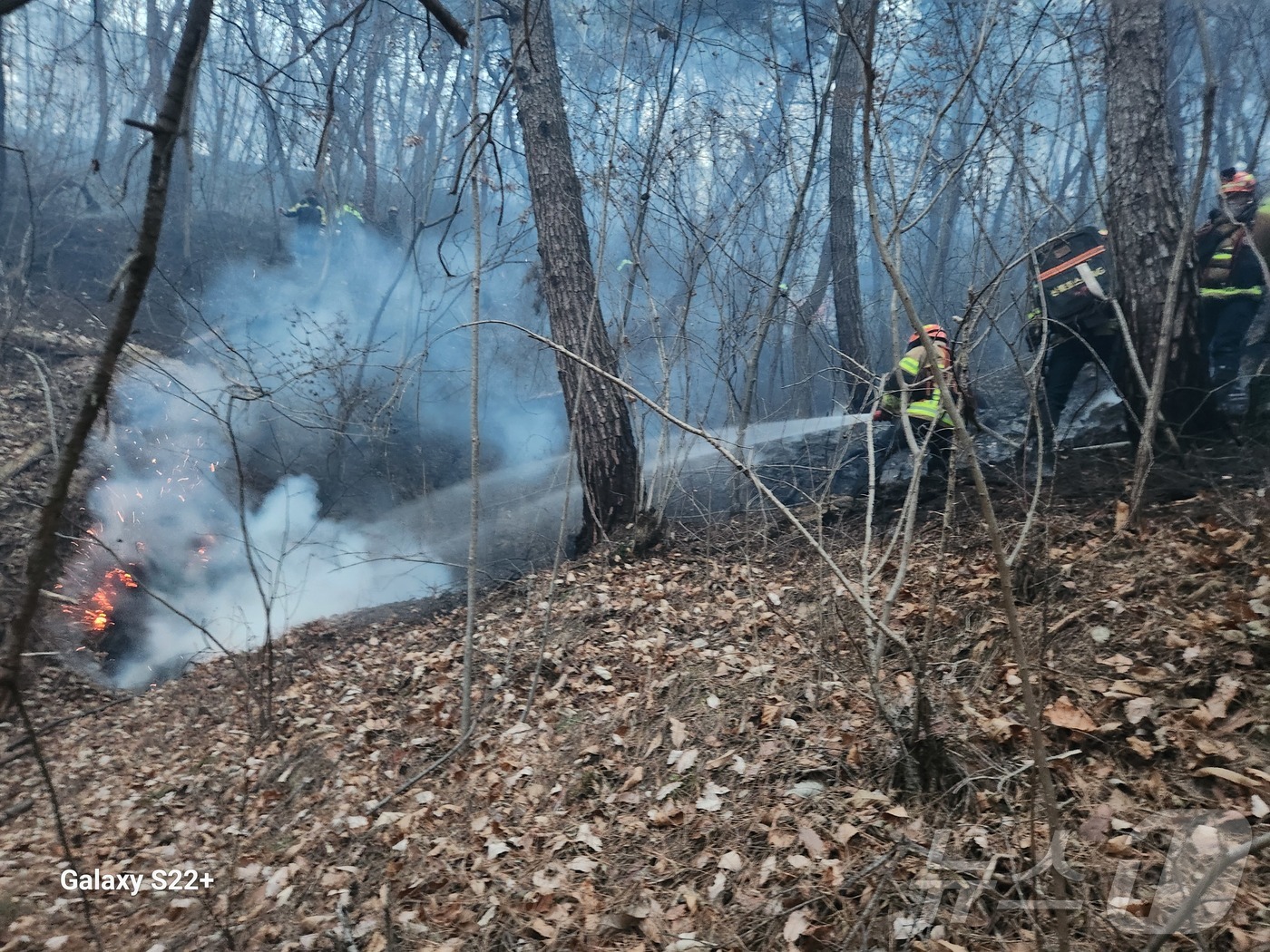 (의성=뉴스1) 남승렬 기자 = 10일 오후 3시 14분쯤 경북 의성군 의성읍 비봉리의 한 야산에서 대형 산불이 발생해 소방 당국이 대응 2단계를 발령하고 진화에 나서고 있다. ( …
