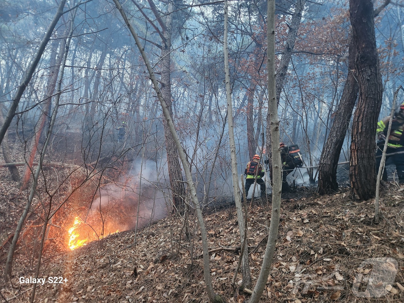 (의성=뉴스1) 남승렬 기자 = 10일 오후 3시 14분쯤 경북 의성군 의성읍 비봉리의 한 야산에서 대형 산불이 발생해 소방 당국이 대응 2단계를 발령하고 진화에 나서고 있다. ( …