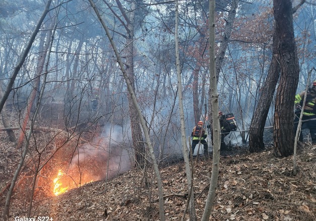 의성 산불 진화에 온 힘
