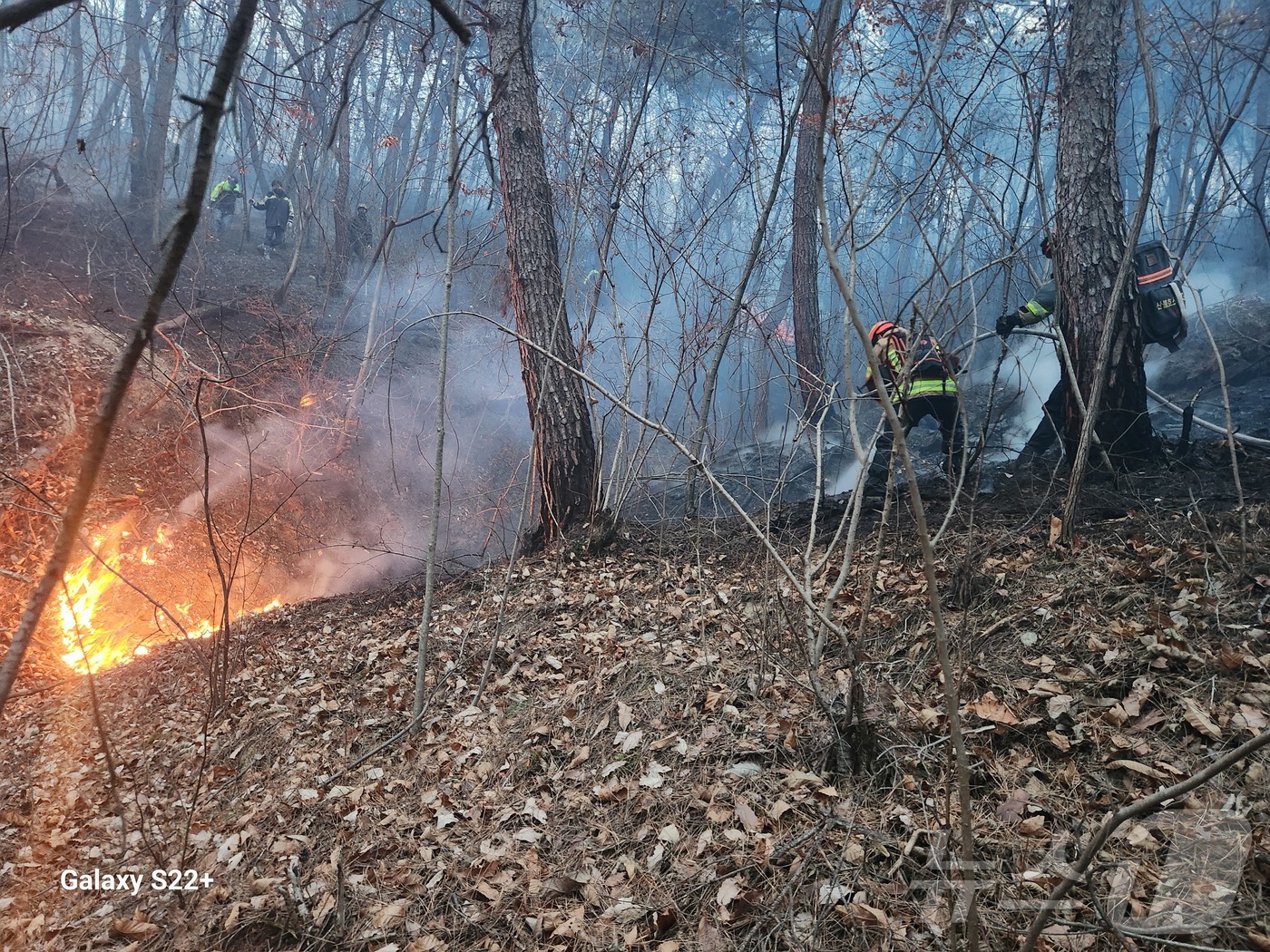 (의성=뉴스1) 남승렬 기자 = 10일 오후 3시 14분쯤 경북 의성군 의성읍 비봉리의 한 야산에서 대형 산불이 발생해 소방 당국이 대응 2단계를 발령하고 진화에 나서고 있다. ( …