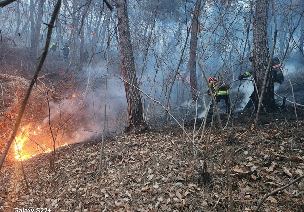 의성 산불 진화 현장