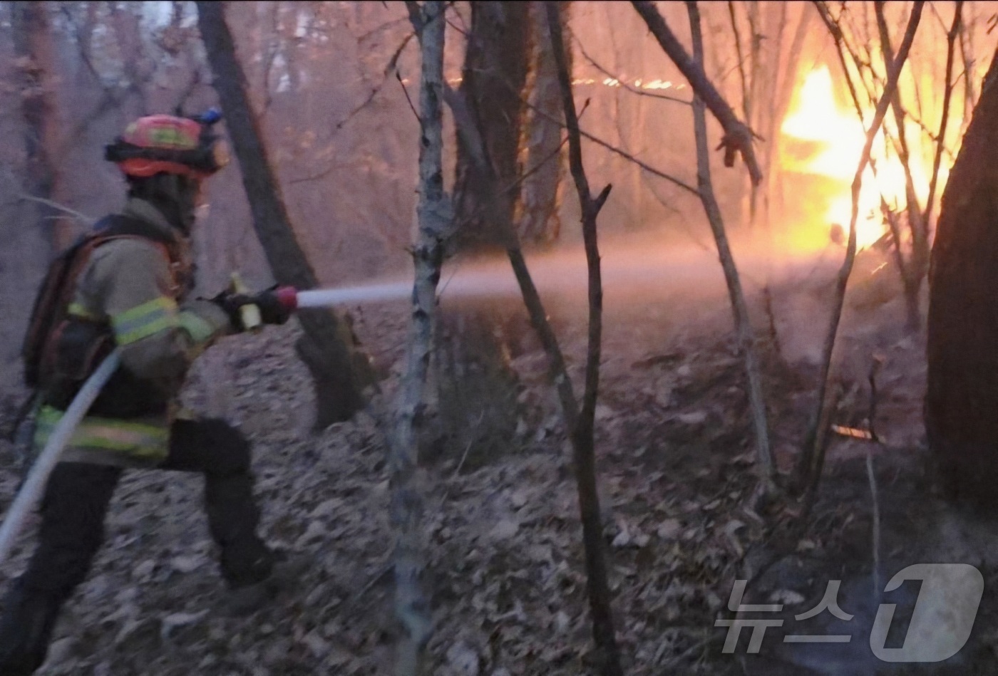 (의성=뉴스1) 남승렬 기자 = 10일 오후 3시 14분쯤 경북 의성군 의성읍 비봉리의 한 야산에서 대형 산불이 발생해 소방 당국이 대응2단계를 발령하고 진화에 나서고 있다. (경 …