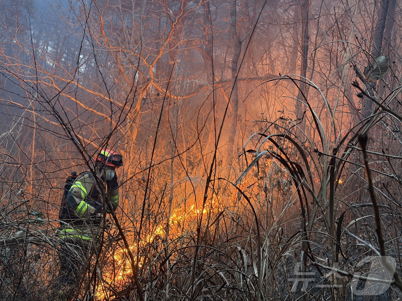 (의성=뉴스1) 남승렬 기자 = 10일 오후 3시 14분쯤 경북 의성군 의성읍 비봉리의 한 야산에서 대형 산불이 발생해 소방 당국이 대응2단계를 발령하고 진화에 나서고 있다. (경 …