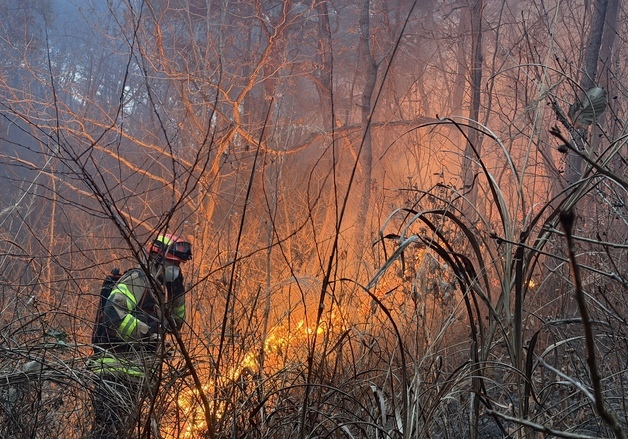 경북 의성군서 대형 산불 발생, 소방 당국 대응2단계