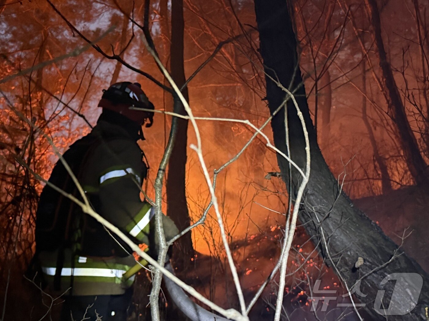 본문 이미지 - 10일 오후 3시 14분쯤 경북 의성군 의성읍 비봉리의 한 야산에서 대형 산불이 발생해 소방 당국이 대응2단계를 발령하고 야간 진화에 나서고 있다. (경북소방안전본부 제공. 재판매 및 DB 금지) 2026.1.10/뉴스1 ⓒ News1 남승렬 기자