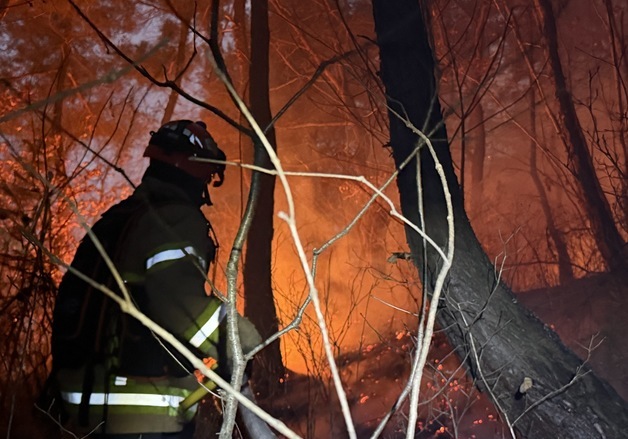 "눈도 거들었다" 의성 주불 진화 100%…산림 피해 93㏊ 추정
