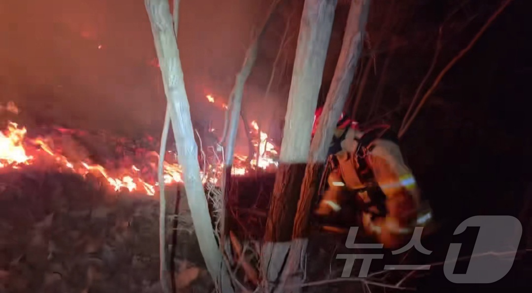 (의성=뉴스1) 이성덕 기자 = 10일 오후 경북 의성군 의성읍 비봉리에서 발생한 산불의 주불이 진화된 가운데, 산림·소방 당국이 잔불 재발을 막기 위해 뒷불감시 작업을 벌이고 있 …