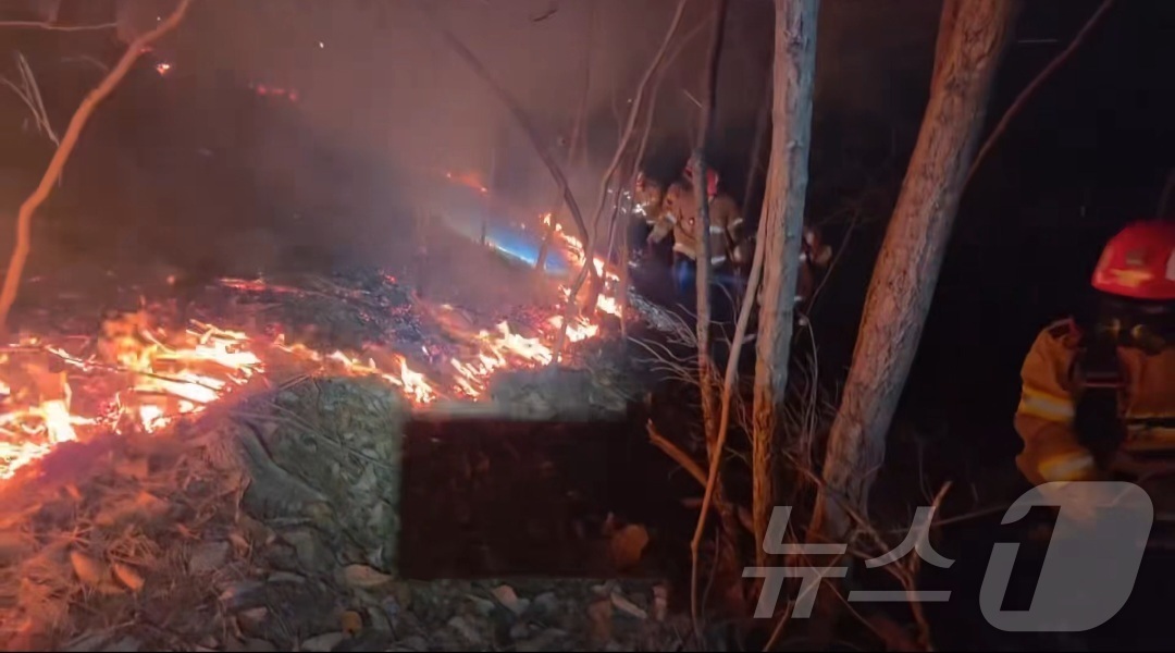 (의성=뉴스1) 이성덕 기자 = 10일 오후 경북 의성군 의성읍 비봉리에서 발생한 산불의 주불이 진화된 가운데, 산림·소방 당국이 잔불 재발을 막기 위해 뒷불감시 작업을 벌이고 있 …