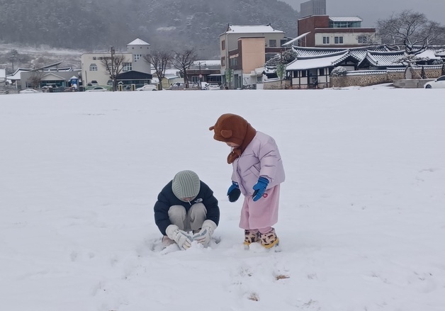 최고 25㎝ 폭설에 강풍까지…광주·전남 피해 잇따라(종합)