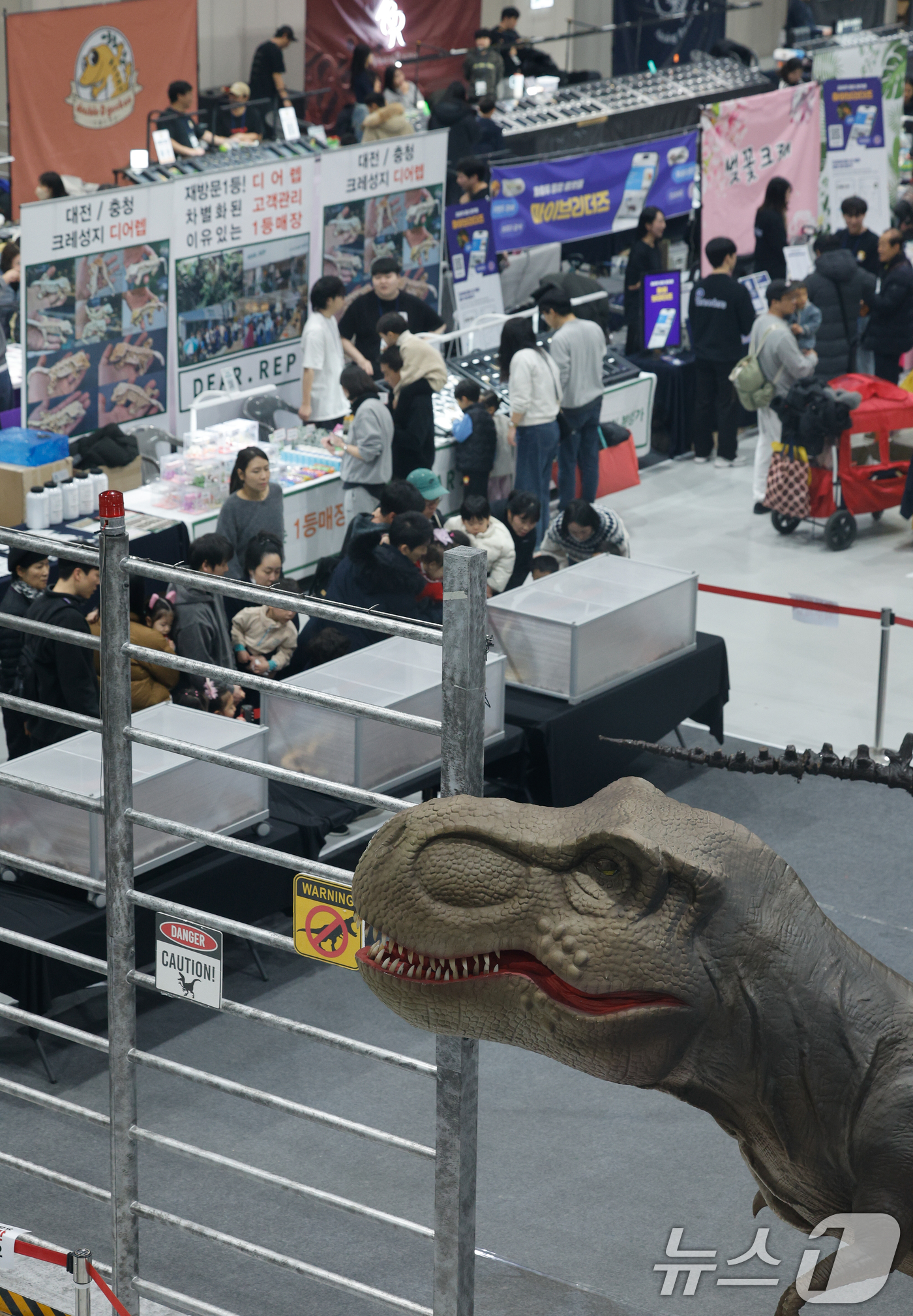 (서울=뉴스1) 안은나 기자 = 11일 서울 강서구 코엑스 마곡에서 열린 공룡 파충류 박람회를 찾은 관람객들이 공룡 모형과 파충류를 살피고 있다.공룡 파충류 박람회는 살아 움직이는 …