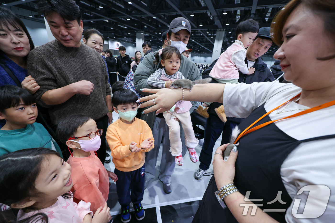 (서울=뉴스1) 안은나 기자 = 11일 서울 강서구 코엑스 마곡에서 열린 공룡 파충류 박람회를 찾은 어린이들이 피그미 다람쥐를 살펴보고 있다.공룡 파충류 박람회는 살아 움직이는 듯 …