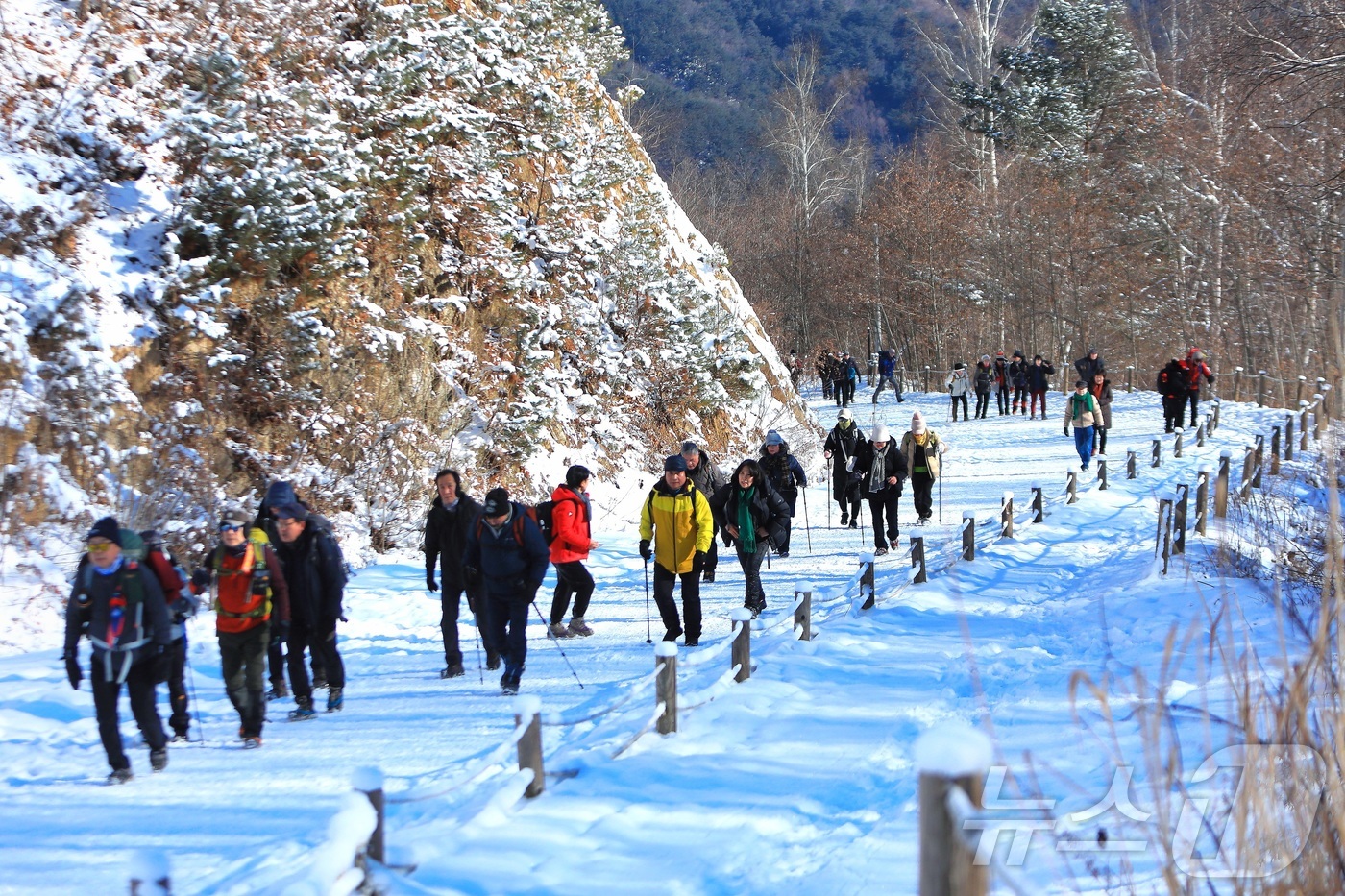 (인제=뉴스1) 이종재 기자 = 11일 강원 인제군 원대리 자작나무숲 일대가 최근 내린 눈으로 환상적인 겨울 풍경을 자랑하고 있다.(인제군 제공. 재판매 및 DB금지) 2026.1 …