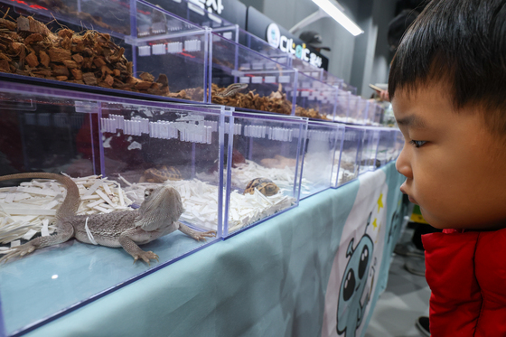 '신기한 파충류의 세계'