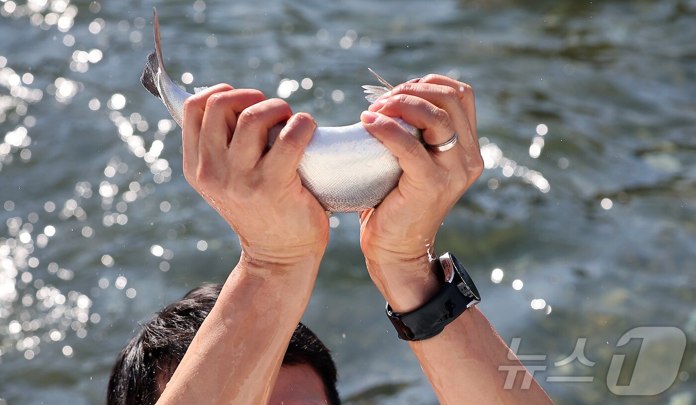 본문 이미지 - 11일 강원 화천군 화천읍 화천산천어축제장에서 열린 2026 화천산천어축제를 찾은 관광객들이 관광객들이 산천어 맨손 잡기를 체험하고 있다. 026.1.11/뉴스1 ⓒ News1 김진환 기자