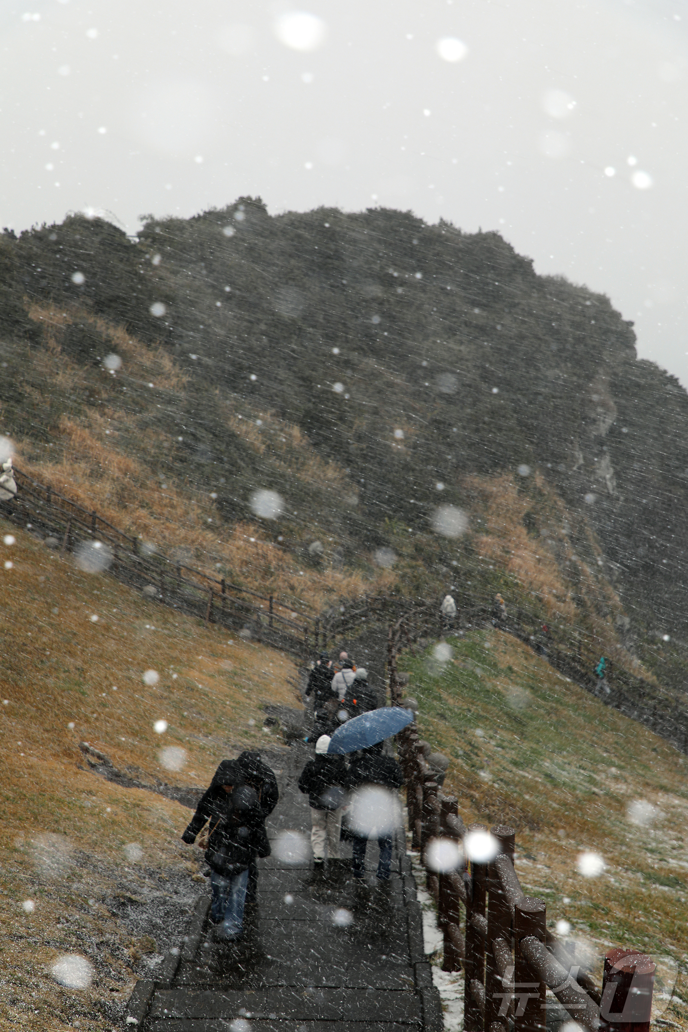 (제주=뉴스1) 오미란 기자 = 제주에 대설·강풍·풍랑특보가 내려진 11일 오후 서귀포시 성산일출봉에 눈보라가 치고 있다. 2026.1.11/뉴스1
