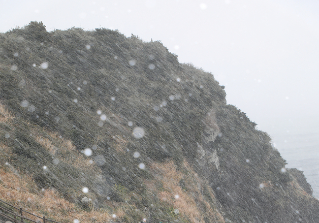 눈 내리는 제주