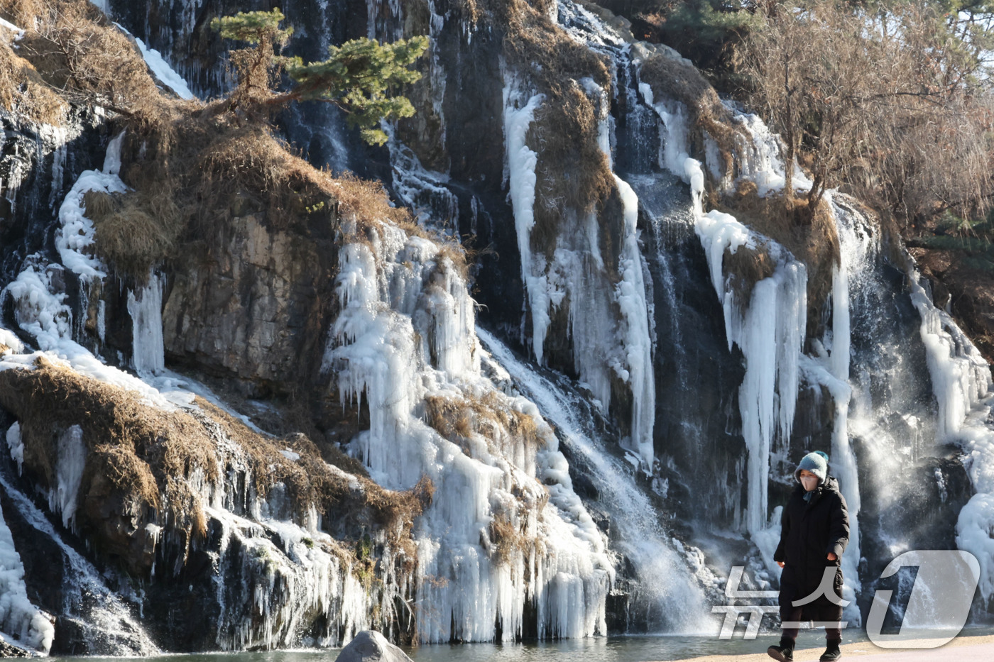 (서울=뉴스1) 이광호 기자 = 전국 곳곳에 한파특보가 발효 중인 11일 오후 서울 서대문구 홍제천 인공폭포가 얼어붙어 있다. 2026.1.11/뉴스1
