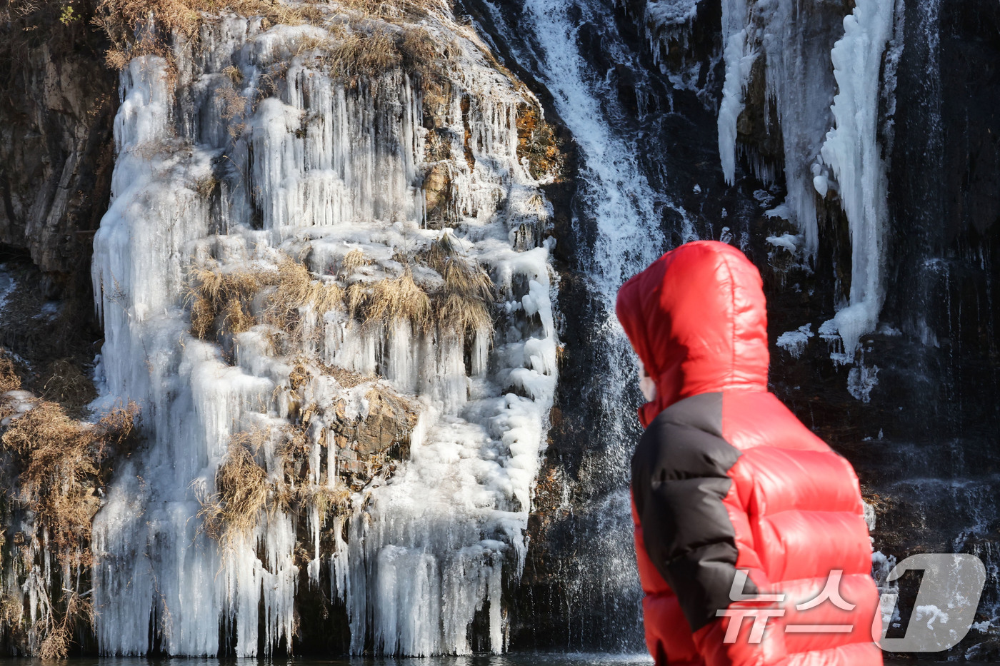 (서울=뉴스1) 이광호 기자 = 전국 곳곳에 한파특보가 발효 중인 11일 오후 서울 서대문구 홍제천 인공폭포가 얼어붙어 있다. 2026.1.11/뉴스1