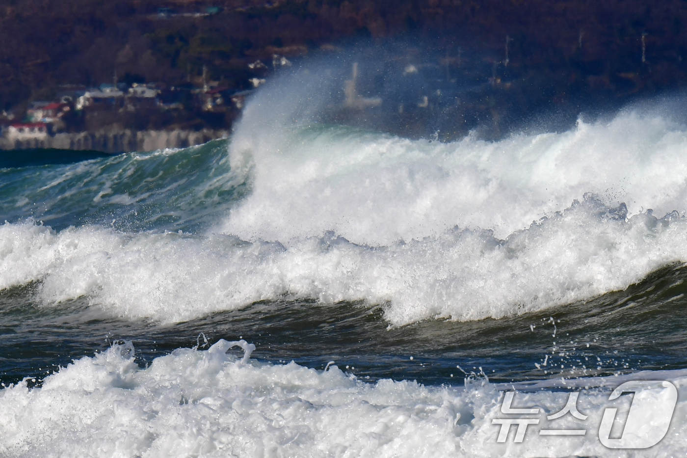 (포항=뉴스1) 최창호 기자 = 11일 깅풍주의보가 발령된 경북 포항시 북구 흥해읍 용한리 앞 바다에서 높은 파도가 밀려들고 있다. 2026.1.11/뉴스1