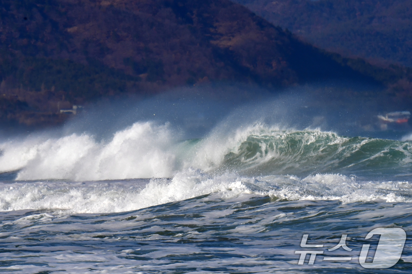 (포항=뉴스1) 최창호 기자 = 11일 깅풍주의보가 발령된 경북 포항시 북구 흥해읍 용한리 앞 바다에서 높은 파도가 밀려들고 있다. 2026.1.11/뉴스1