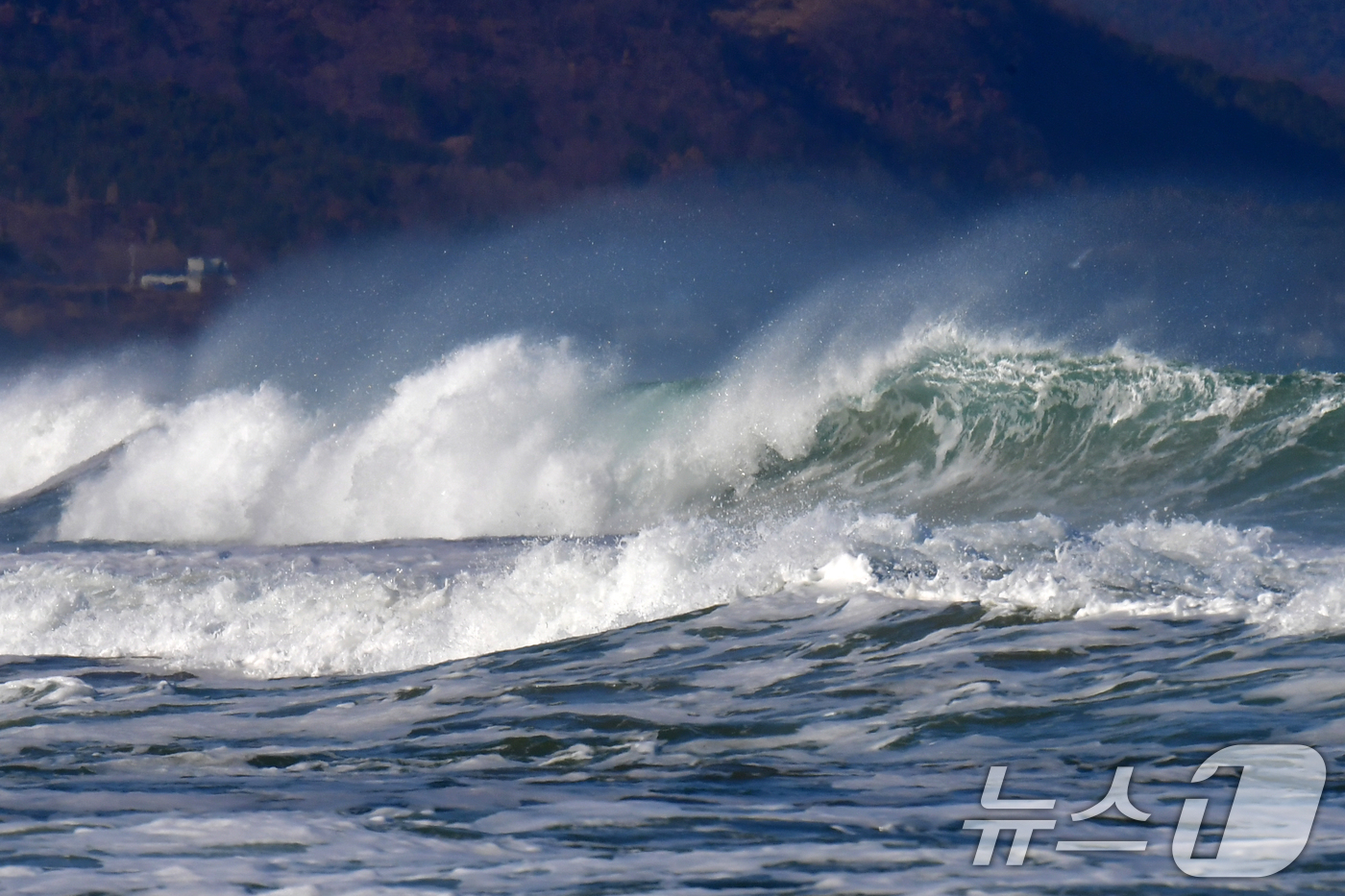 (포항=뉴스1) 최창호 기자 = 11일 깅풍주의보가 발령된 경북 포항시 북구 흥해읍 용한리 앞 바다에서 높은 파도가 밀려들고 있다. 2026.1.11/뉴스1