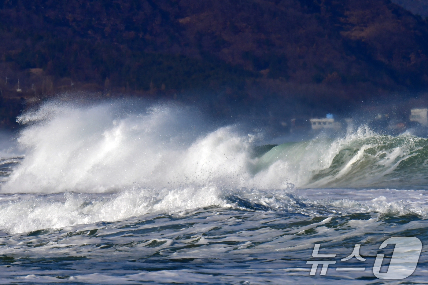 (포항=뉴스1) 최창호 기자 = 11일 깅풍주의보가 발령된 경북 포항시 북구 흥해읍 용한리 앞 바다에서 높은 파도가 밀려들고 있다.  2026.1.11/뉴스1