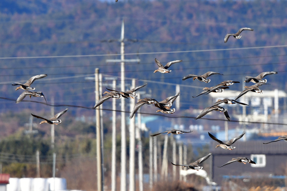 '전기줄을 피해서'