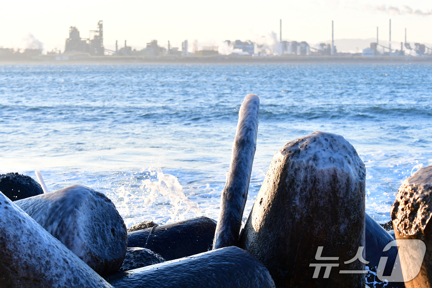 (포항=뉴스1) 최창호 기자 = 12일 경북 포항시 북구 환여동 앞 바다에 설치된 테트라포트 위에 바닷물이 얼어 붙어있다. 2026.1.12/뉴스1