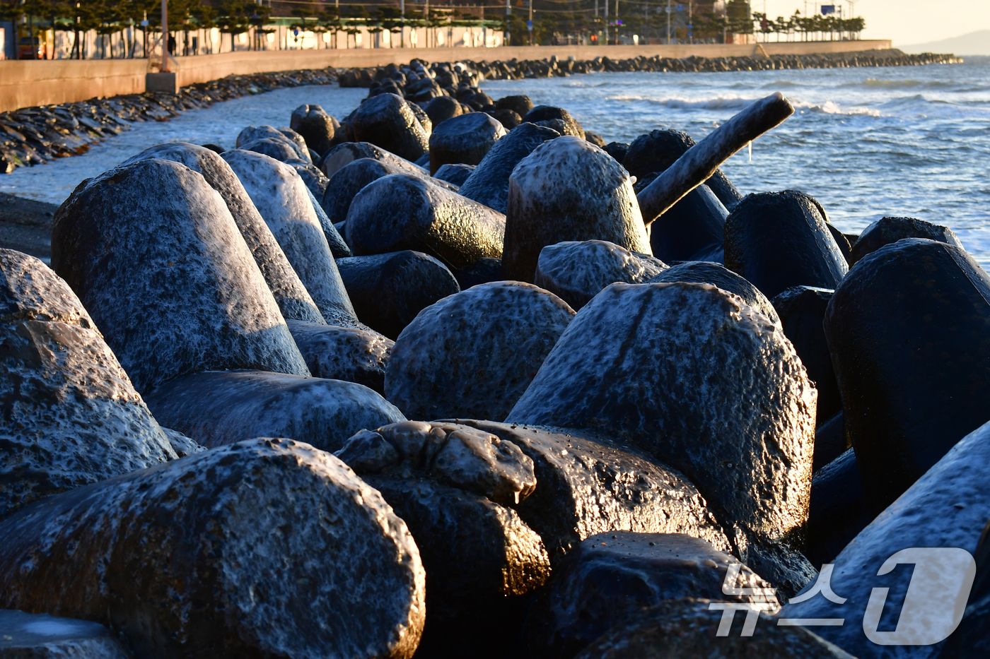 (포항=뉴스1) 최창호 기자 = 12일 경북 포항시 북구 환여동 앞 바다에 설치된 테트라포트 위에 바닷물이 얼어 붙어있다. 2026.1.12/뉴스1