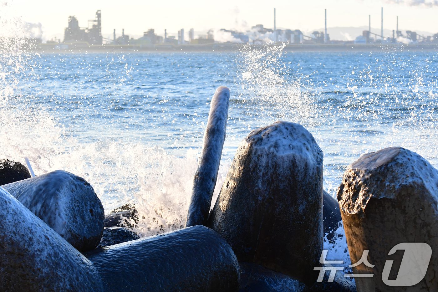 (포항=뉴스1) 최창호 기자 = 12일 경북 포항시 북구 환여동 앞 바다에 설치된 테트라포트 위에 바닷물이 얼어 붙어있다. 2026.1.12/뉴스1