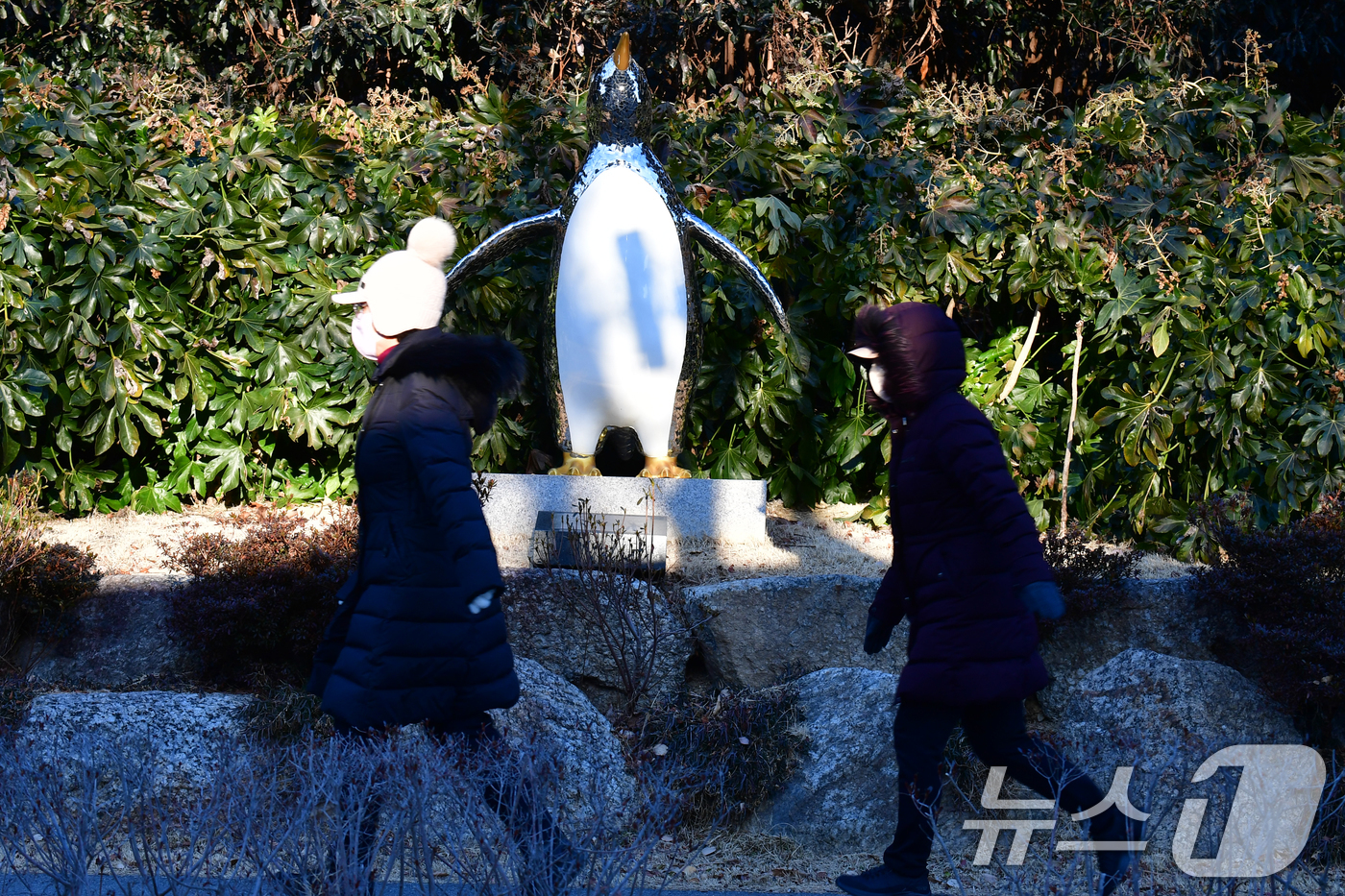 (포항=뉴스1) 최창호 기자 = 12일 경북 포항시 남구 대잠동 철길숲에서 두터운 옷차림의 시민이 펭귄 조형물 앞으로 걸어가고 있다. 2026.1.12/뉴스1