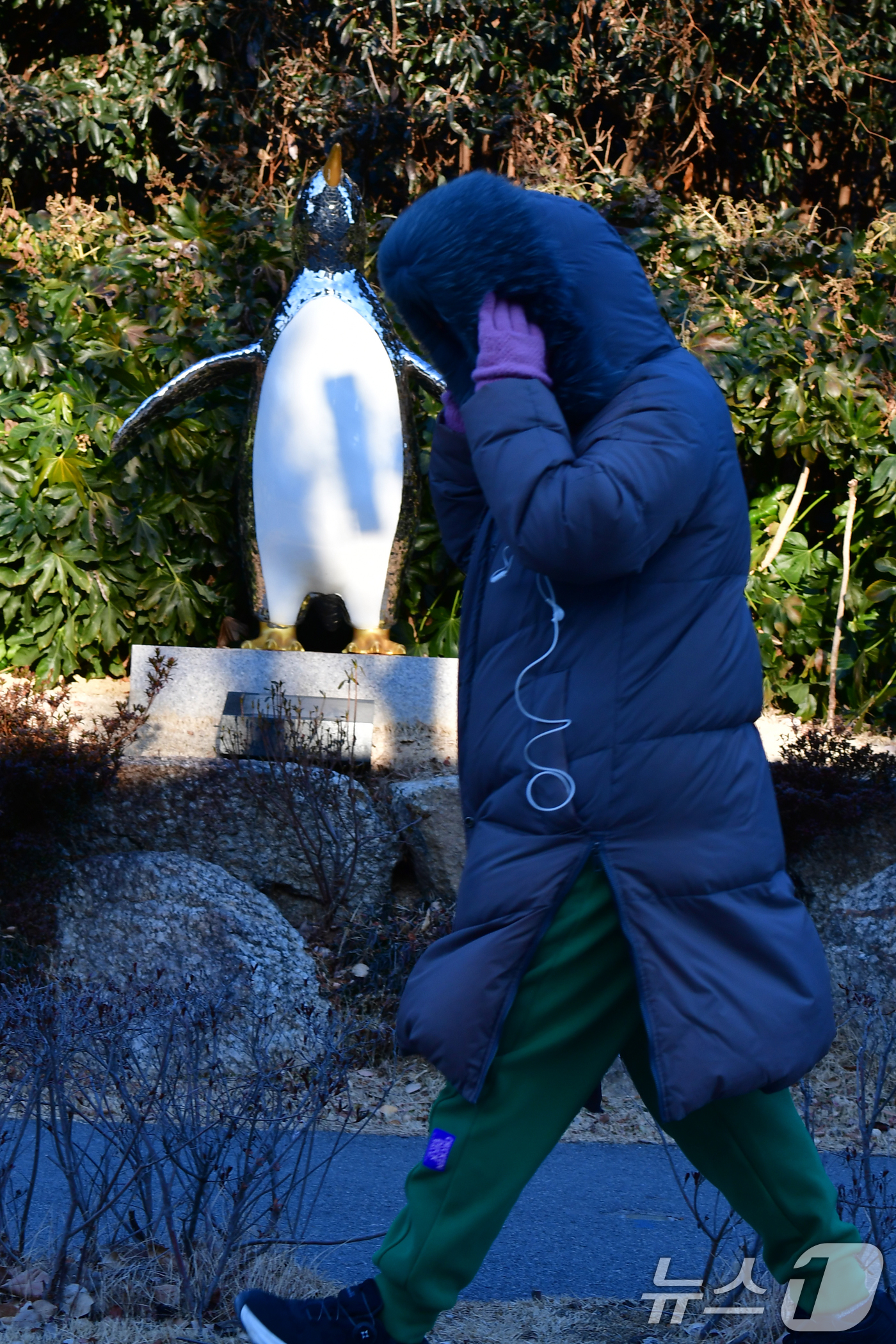 (포항=뉴스1) 최창호 기자 = 12일 경북 포항시 남구 대잠동 철길숲에서 두터운 옷차림의 시민이 펭귄 조형물 앞으로 걸어가고 있다. 2026.1.12/뉴스1