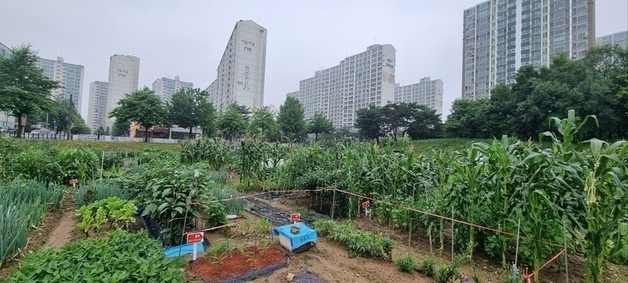 파주시 시민주말농장, 23일까지 분양 접수…연간 임대료 2170원