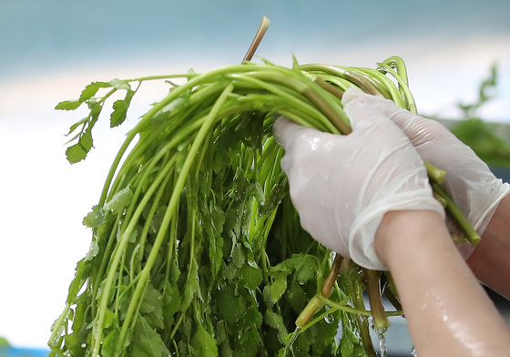 [오늘의 날씨] 대구·경북(14일,수)…출근길 추위, 낮 2~8도