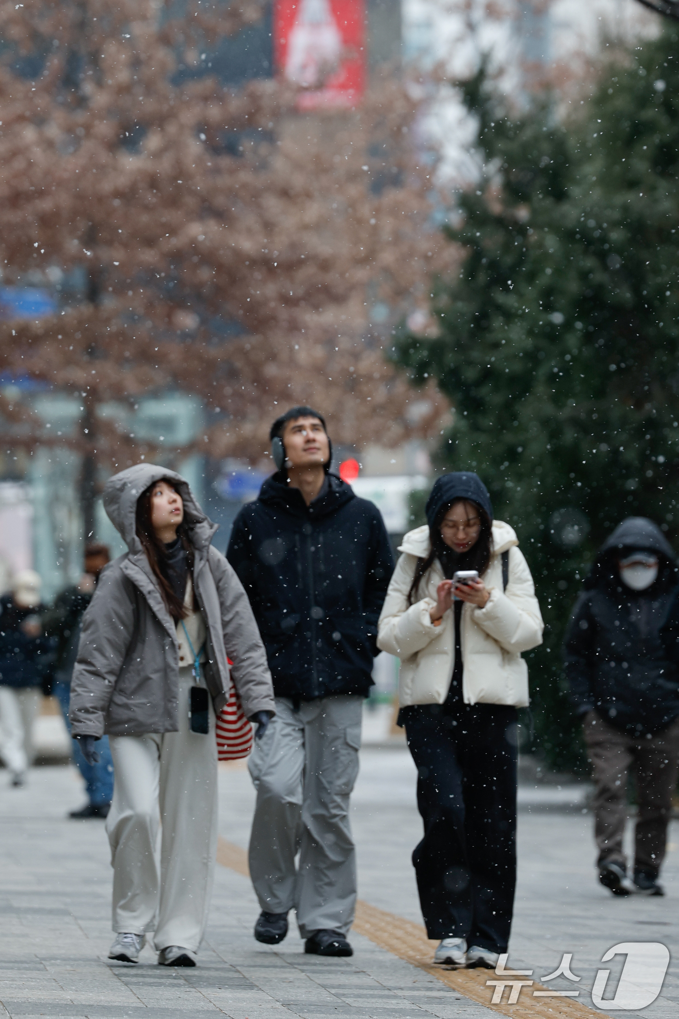 (서울=뉴스1) 안은나 기자 = 12일 오후 서울 중구 을지로에서 관광객들이 눈을 맞으며 걸어가고 있다. 2026.1.12/뉴스1