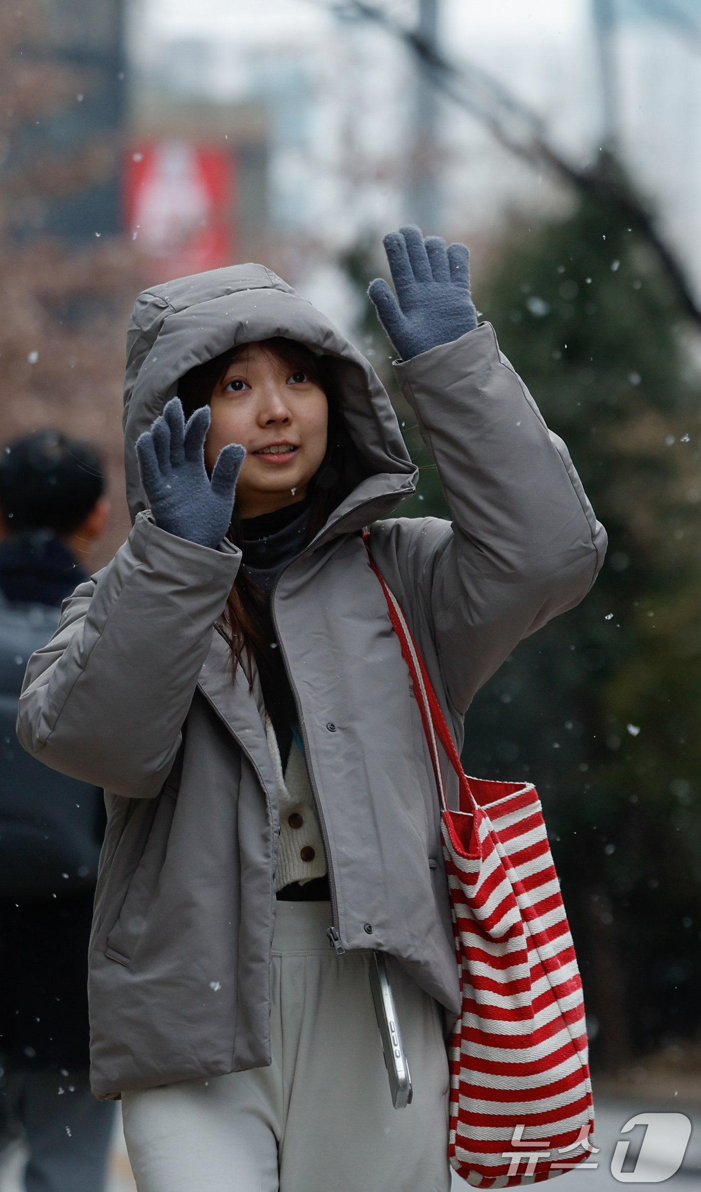 (서울=뉴스1) 안은나 기자 = 12일 오후 서울 중구 을지로에서 관광객들이 눈을 맞으며 걸어가고 있다. 2026.1.12/뉴스1