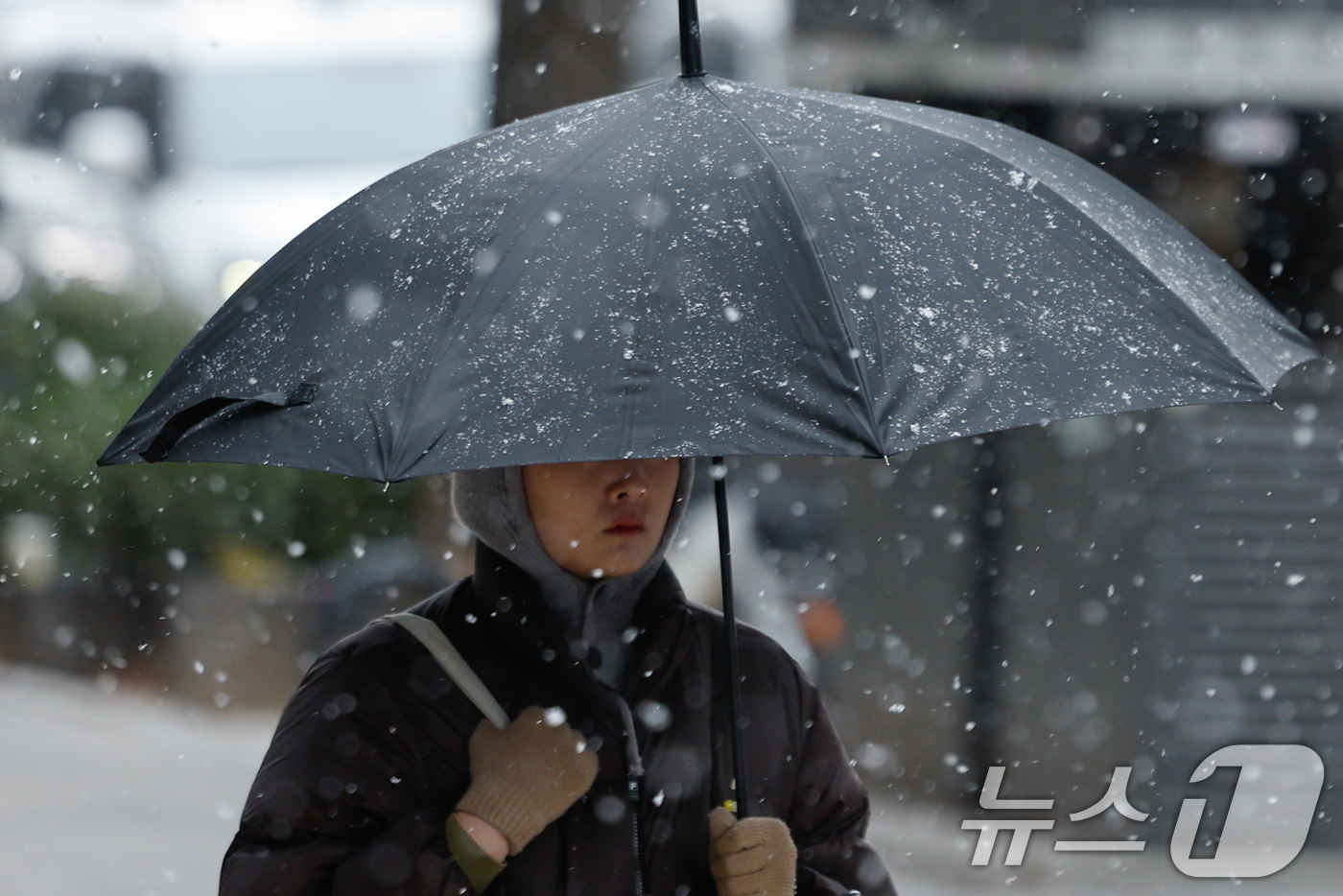 (서울=뉴스1) 안은나 기자 = 눈이 내리는 12일 오후 서울 중구 을지로에서 한 시민이 우산을 쓴채 걸어가고 있다. 2026.1.12/뉴스1