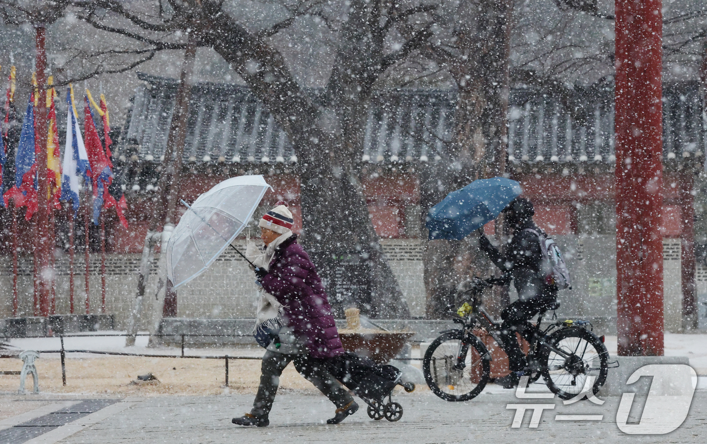 (수원=뉴스1) 김영운 기자 = 중부지방을 중심으로 눈이 내린 12일 경기 수원시 팔달구 화성행궁에서 시민들이 눈을 맞으며 걸어가고 있다. 2026.1.12/뉴스1