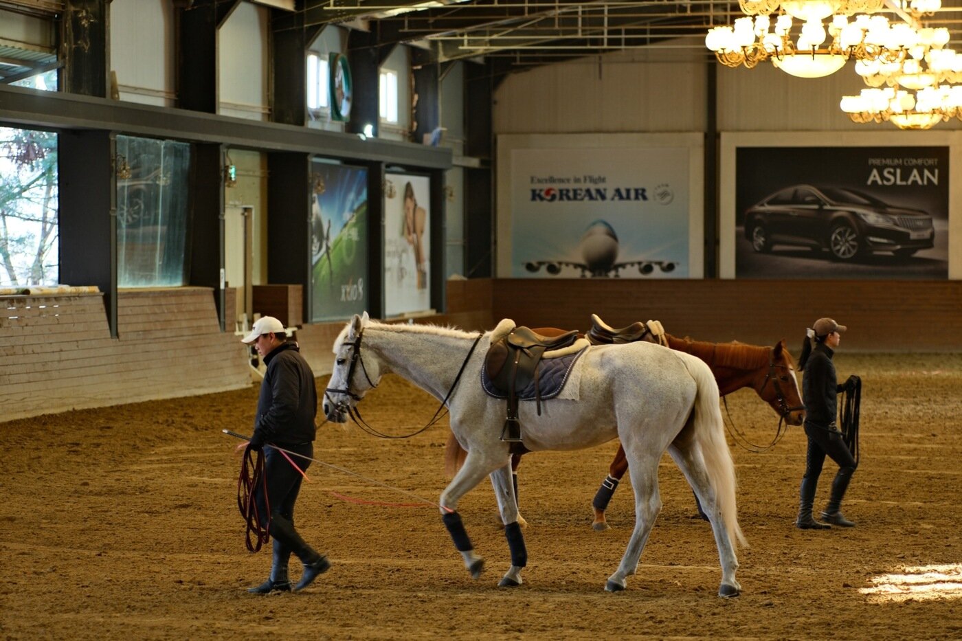 본문 이미지 - (롯데백화점 제공)