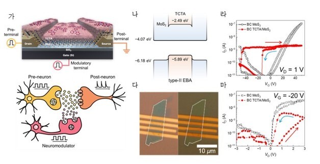 저전력 AI컴퓨팅 시대 앞당길 뇌 신경망 모방 신소자 개발